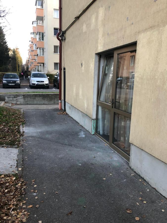 Gaby Studio Braşov Exterior foto
